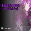 블랙푸드
