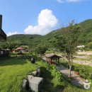 향기나라사랑이 이미지