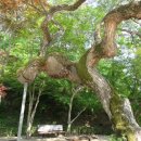 안동시민운동장 이미지