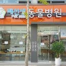 배선생펫스토리동물병원