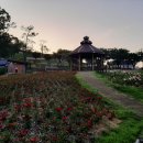 퇴미2공원1 이미지