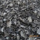 강림면351 이미지