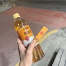 [맛집]강서구 등촌동 장수흑염소요리 전문집 몸보신 흑염소탕 맛집후기