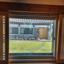 동박생이 이미지