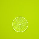 라임 이미지