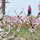 서해7농장 이미지