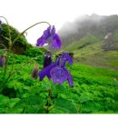 소망자동차 이미지