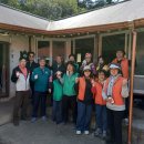 당진3동 이팝나무 이미지