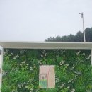 보리카라반 3시간바베큐 캠핑장 이미지