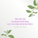 나의 삶을 책 속에 담다 이미지