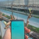 농업회사법인 가온(주) 이미지