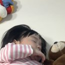 다온.댕 이미지