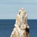 솔바람 파도소리 이미지