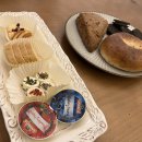 아레나로하 이미지