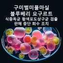 풀마실유가공영농조합법인 | 구미별미풀마실블루베리 요구르트 식중독균 황색 포도상 구균 검출로 판매 중단과 회수 조치