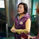 (주)제주랑 티스토리
