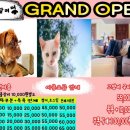 멍달려 Daum카페