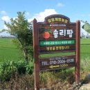 귤향체험농장