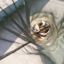 화제낚시터 이미지