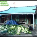 구산면593 이미지