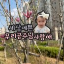 [백석]인터넷쇼핑몰창업실무 | 생일 토퍼 도안 잔뜩 배워갈 수 있는 사이트