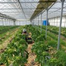 골말농장 이미지