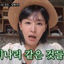 주정 - 서구 | 주정