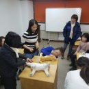 펫매니저 이미지