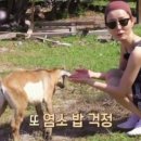 글라스마스터 이미지