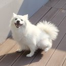 벡스퍼트 - 용인시 수지구 광교중앙로 338 | 벡스퍼트