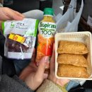 미미캣살롱&고양이호텔 | 일본 후쿠오카 당일 버스 투어 내돈내산 클룩 예약 후기(벳푸 지옥온천/아프리칸 사파리 자연동물공원...