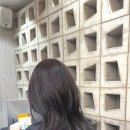 아우라지장 이미지