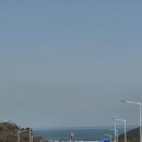 전정금농장 이미지