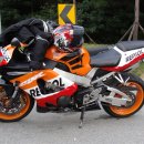 성윤타이어 이미지