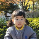 국화공원 이미지