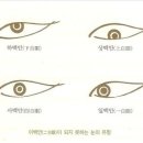 도화눈