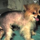 애니컴 메디컬센터 이미지