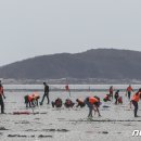 해안남로 이미지