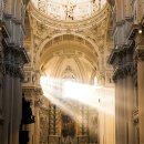 빛나는 도서관 이미지