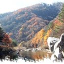 허브내음 이미지