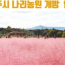 성지꽃농원