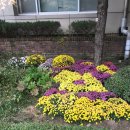 책과의동행(야간) 이미지