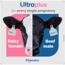 원천목장 이미지