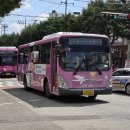 중앙초교 사거리 이미지