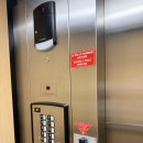 몬트리올 | 캐나다 20박 21일 여행 | 몬트리올 Montreal : 호텔 <르 도팽 몬트리올> 후기