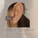 KOTITI시험연구원 노동조합 | 이혈테라피 귀침? wbl 주얼패치 솔직후기
