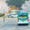 수원-1561 이미지