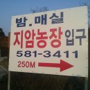 배동문농장 이미지