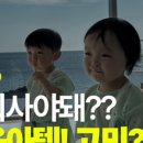 브리엔츠 스테이 네이버블로그