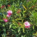 종달리삼거리 이미지